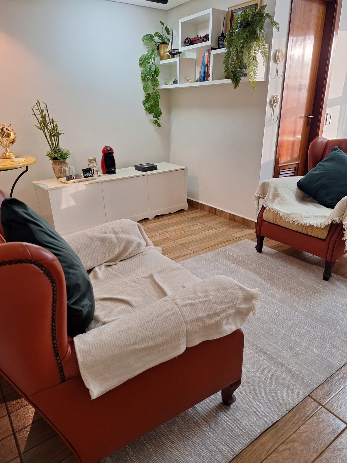 Ambiente acolhedor do consultório de psicologia do Dr. Luís Vergueiro em Ribeirão Preto